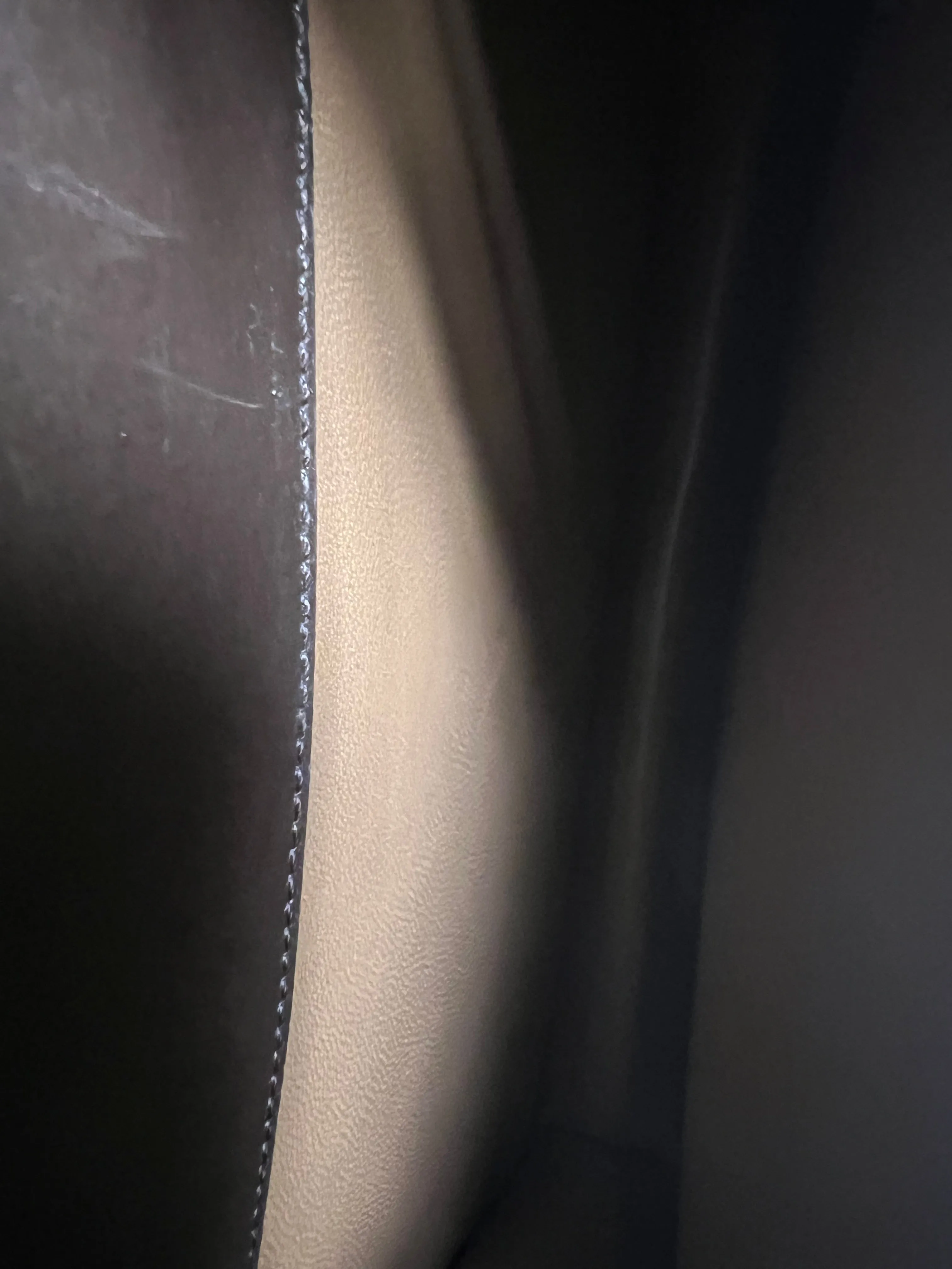 Bottega Veneta Croc Piano Bag