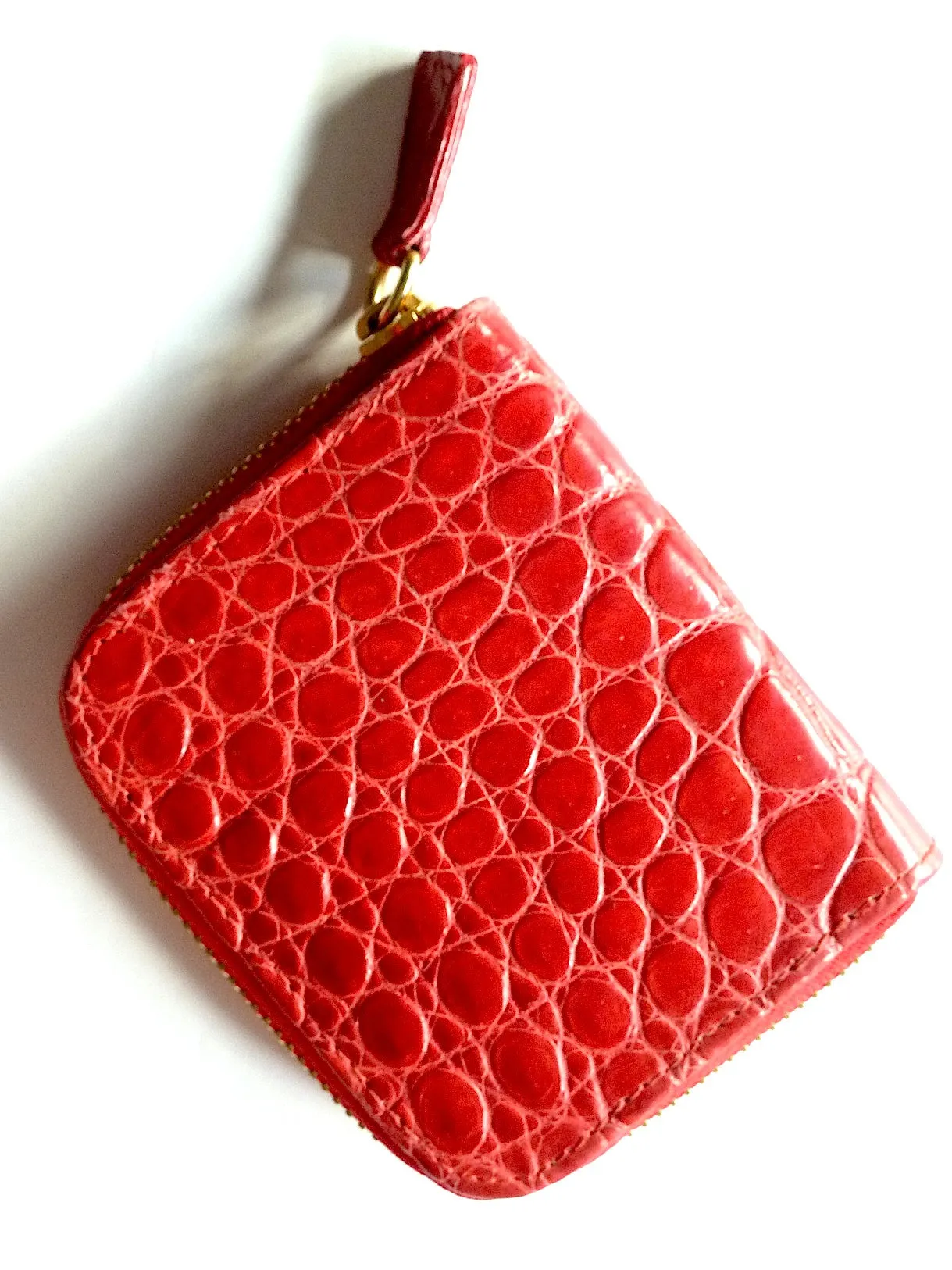 Crocodile Coin Purse